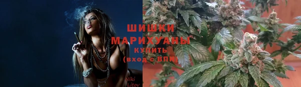 PSILOCYBIN Арсеньев