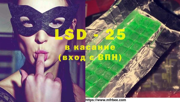 spice Аркадак