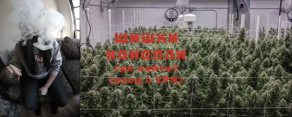 спайс Пестово